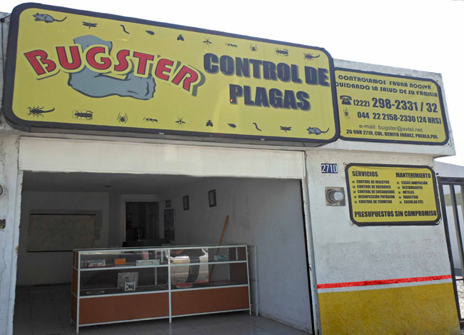 Bugster Control de Plagas